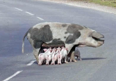 Illustration for article titled How Do You Deal With Lane Hogs?